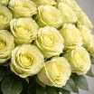 101 зеленая роза (70 см) 3